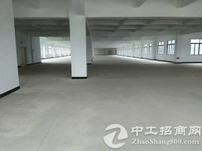 科技筑梦·智造未来 大朗新启千级无尘车间，定义手机屏智造新标杆